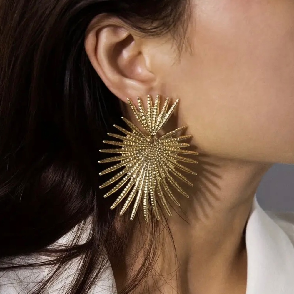 🆕 NWT Statement Earrings